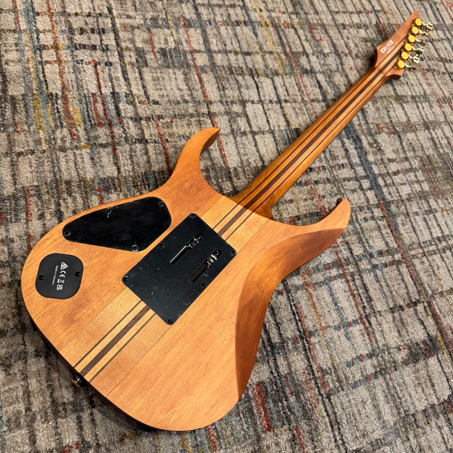 Ibanez RGT 1220PBT