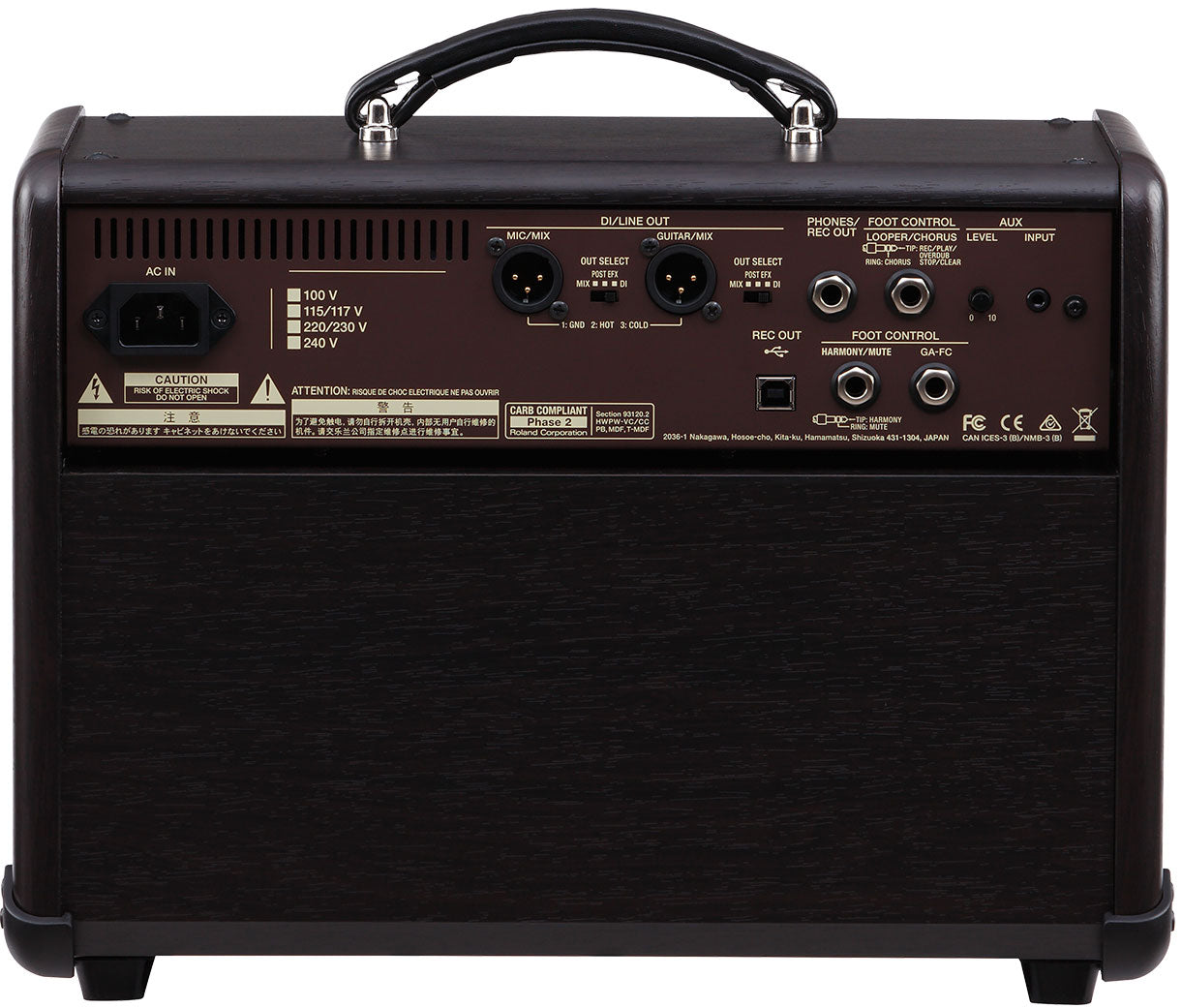 Boss Acoustic Singer Live 60-Watt Bi-Amp Acoustic Guitar Amplifier w/ FX