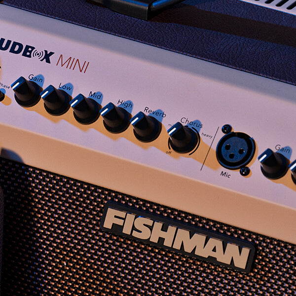 Fishman Loudbox Mini 60-watt 1 x 6.5-inch Acoustic Combo Amp