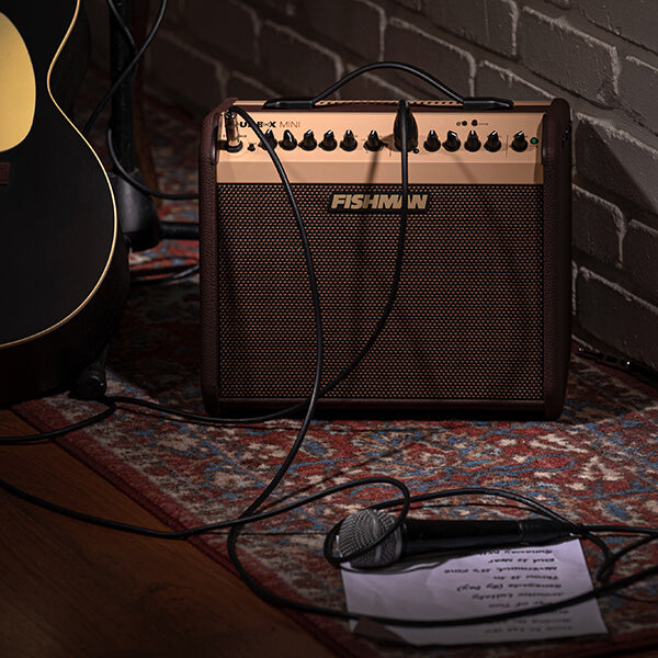 Fishman Loudbox Mini 60-watt 1 x 6.5-inch Acoustic Combo Amp