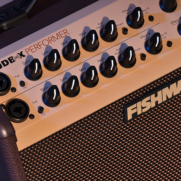 Fishman Loudbox Performer 180-watt 1x5" + 1x8" Acoustic Combo Amp with Tweeter