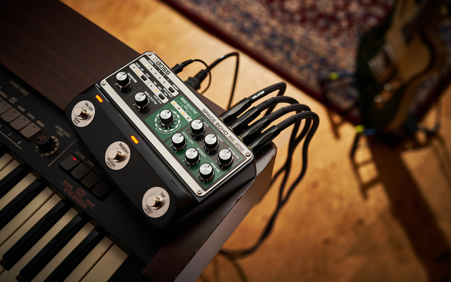 Boss RE-202 Space Echo Digital Delay Pedal
