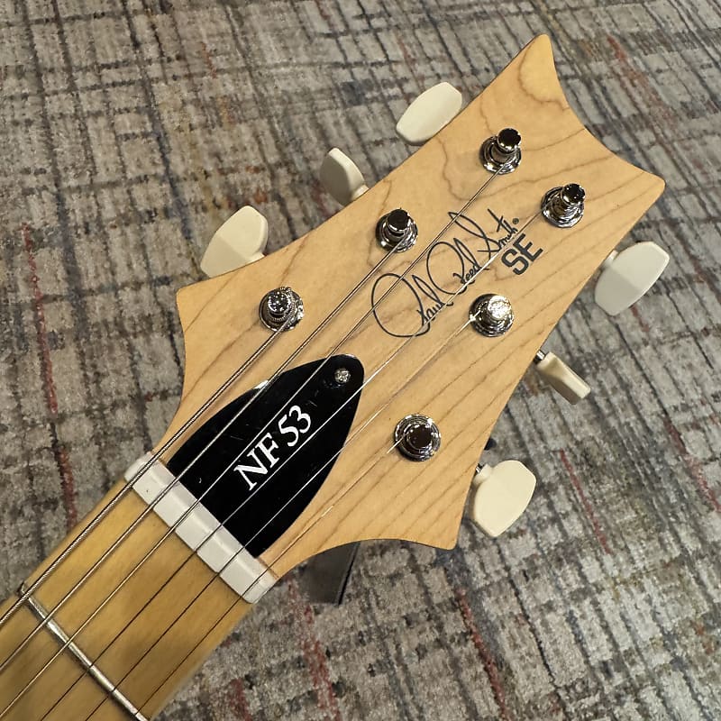 Paul Reed Smith SE NF 53 - Black Doghair