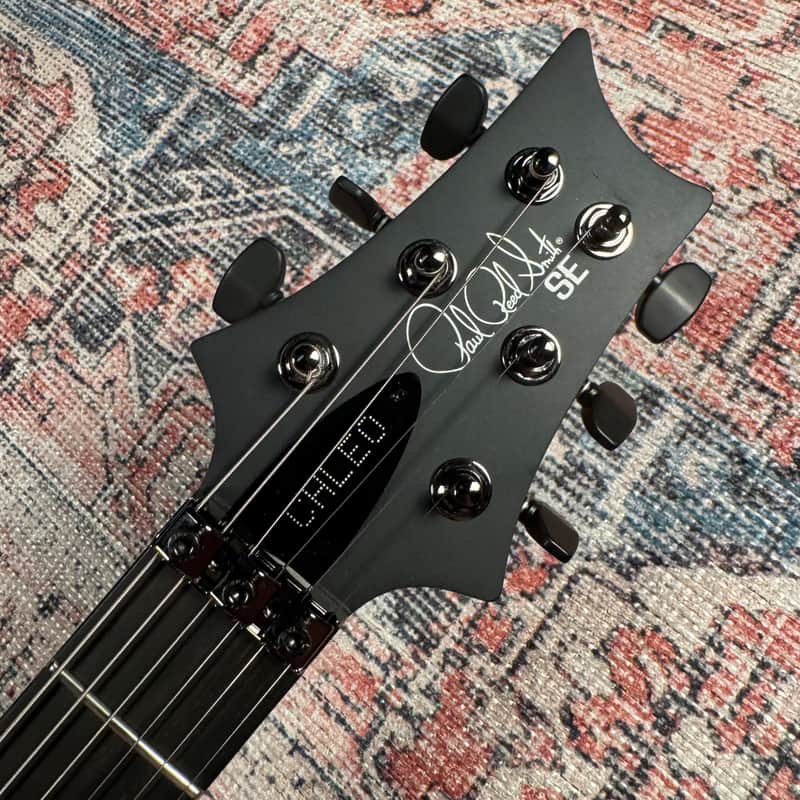 Paul Reed Smith SE Chleo Herman Li Signature w/ Gig Bag - Orchid Dusk