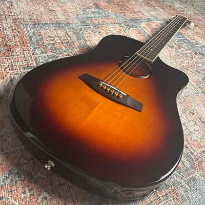 USED LR Baggs AEG-1 w/ case - Sunburst