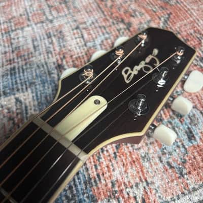USED LR Baggs AEG-1 w/ case - Sunburst