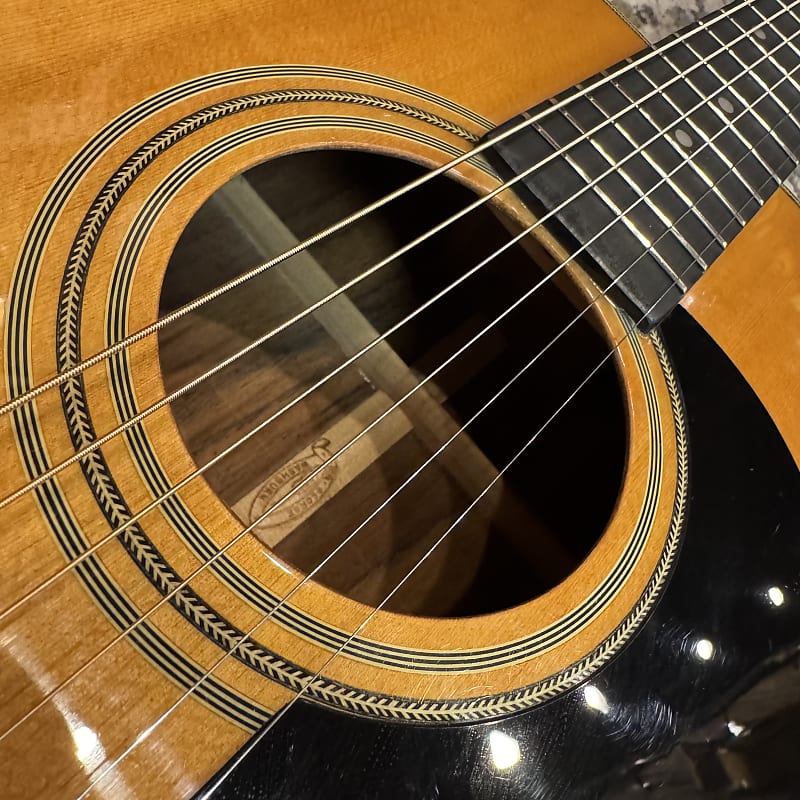 USED Washburn D13-N Natural w/ Case