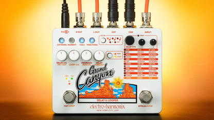 Electro-Harmonix Grand Canyon Delay & Looper Pedal – Metz Music