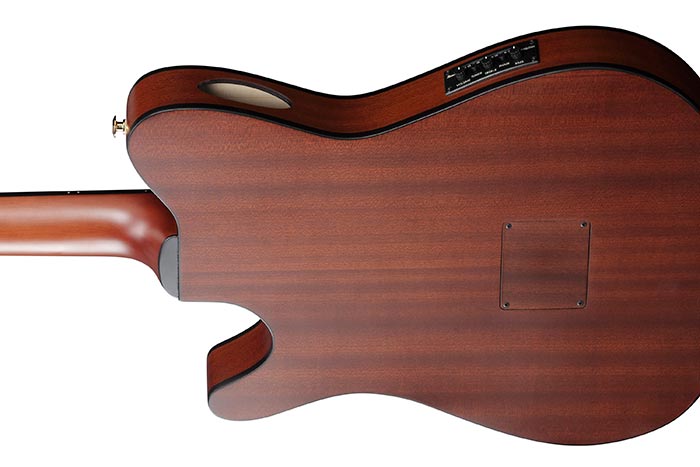 Ibanez FRH10N Thinline Nylon - Natural Flat