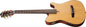 Ibanez FRH10N Thinline Nylon - Natural Flat