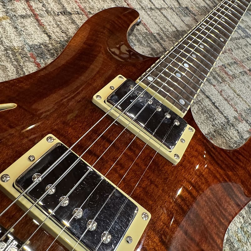 Used Schecter C-1 E/A Classic, 2022 - Present - Cat's Eye