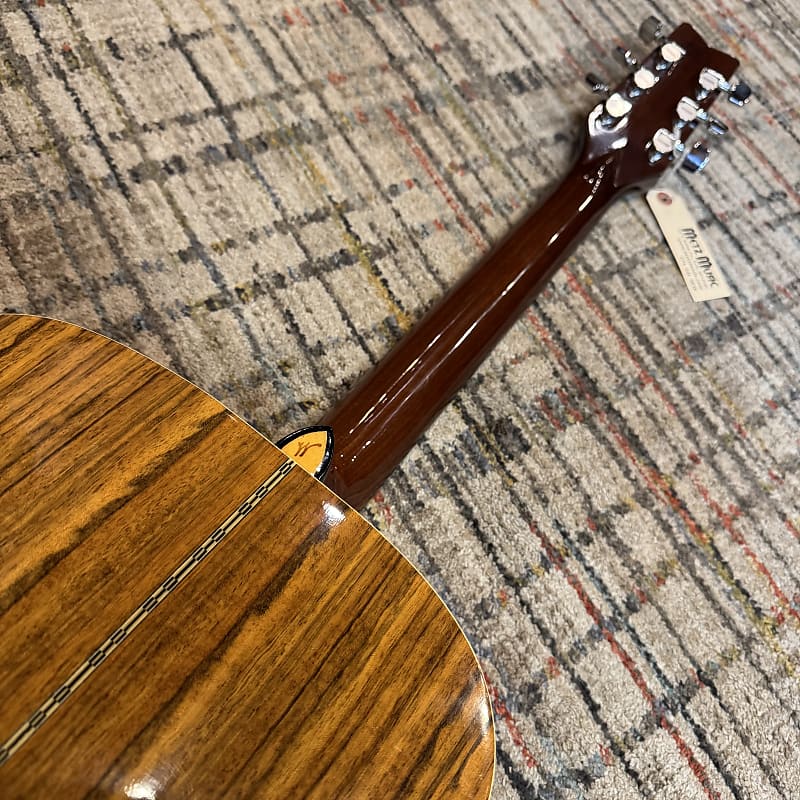 USED Washburn D13-N Natural w/ Case