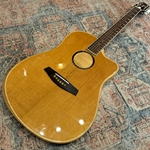 Baggs AEG-1 Acoustic Electric Guitar, Torrefied Sitka Spruce